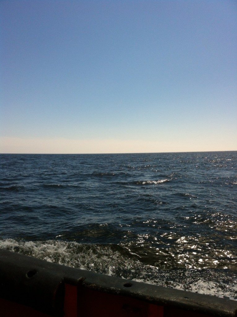 Een dagje zeevissen - door Johan Verweij