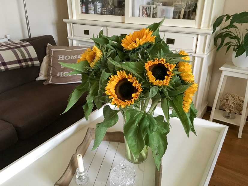 Instagramweek32-4047