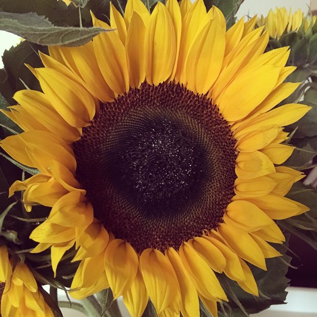 Instagramweek32-4053