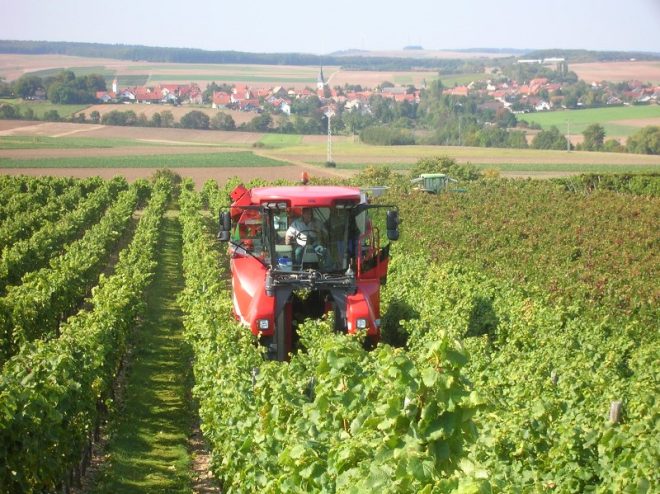 Culinair wijnfestijn in Eckelsheim