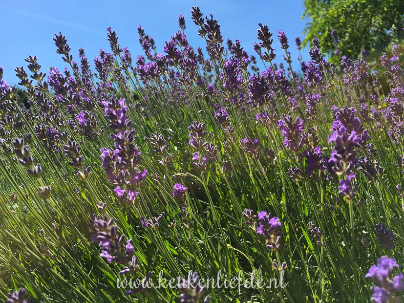Een kijkje in de keuken week 24