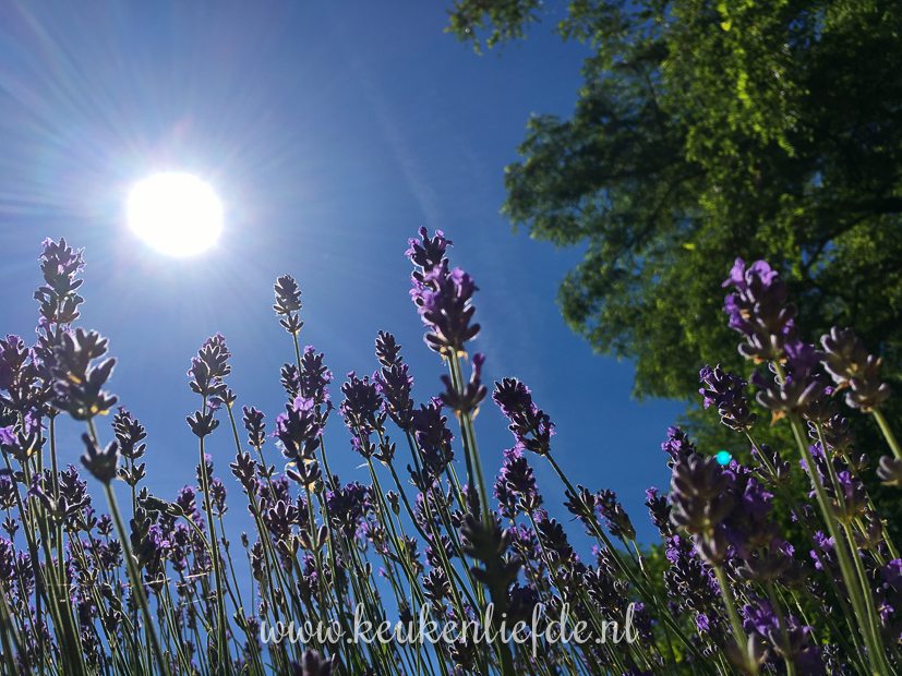 Een kijkje in de keuken week 24