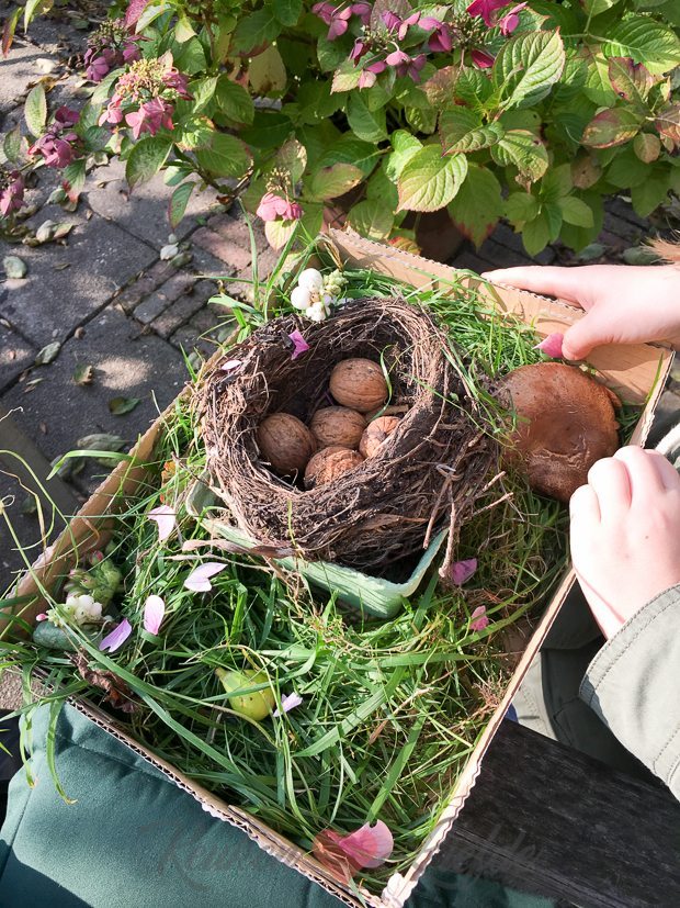 Een kijkje in de keuken week 38