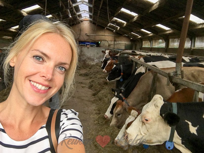 Een kijkje in de keuken week 36