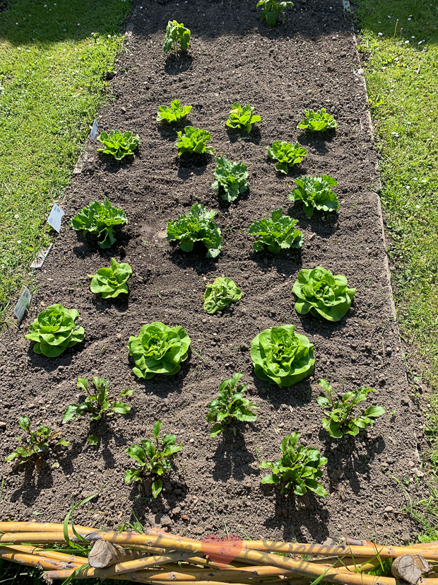 Een kijkje in de keuken week 20-2019
