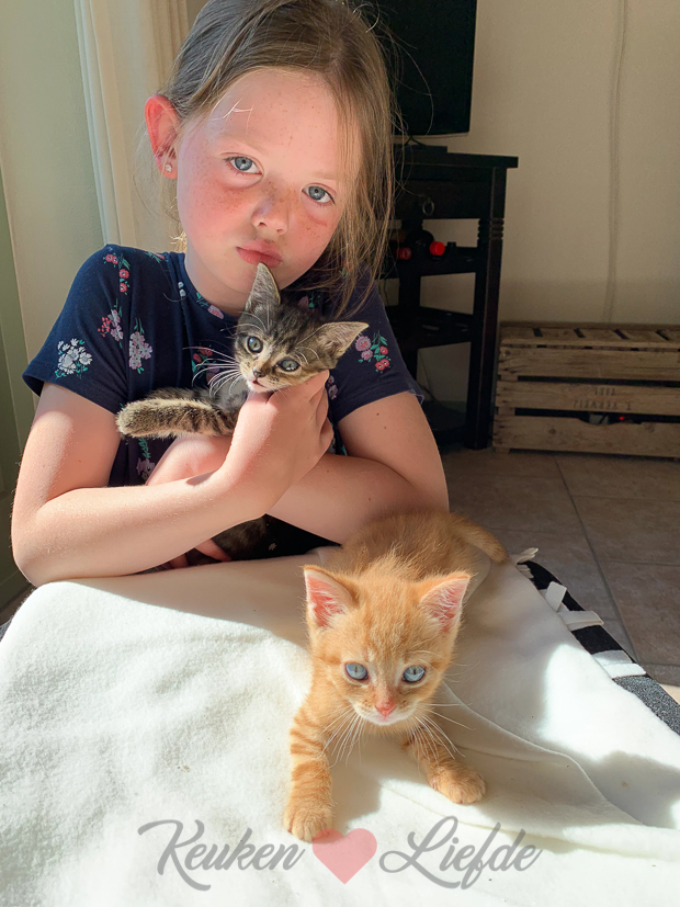 Een kijkje in de keuken week 20-2019 Een kijkje in de keuken week 20-2019