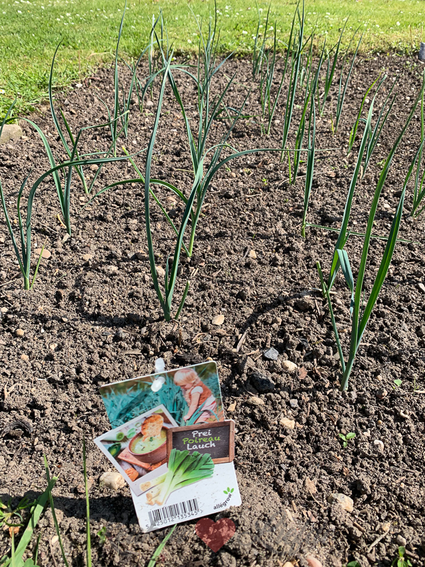 Een kijkje in de keuken week 20-2019