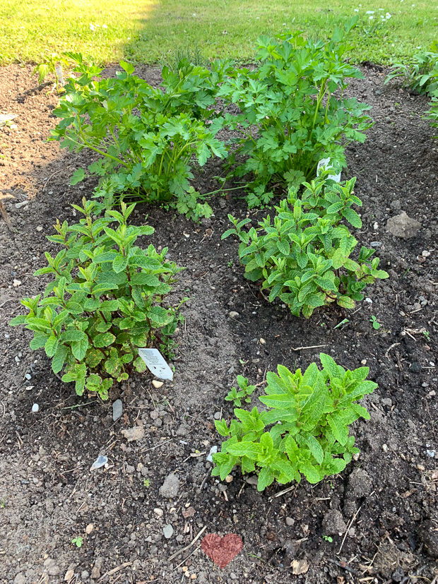 Een kijkje in de keuken week 20-2019