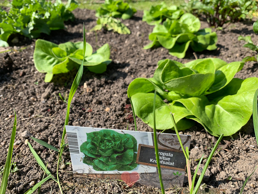 Een kijkje in de keuken week 20-2019