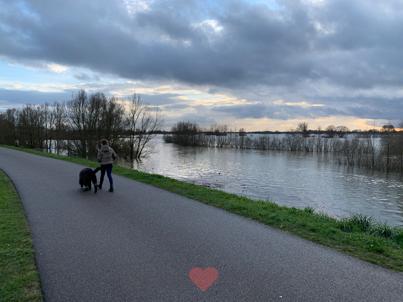 Een kijkje in de keuken week 11-2020