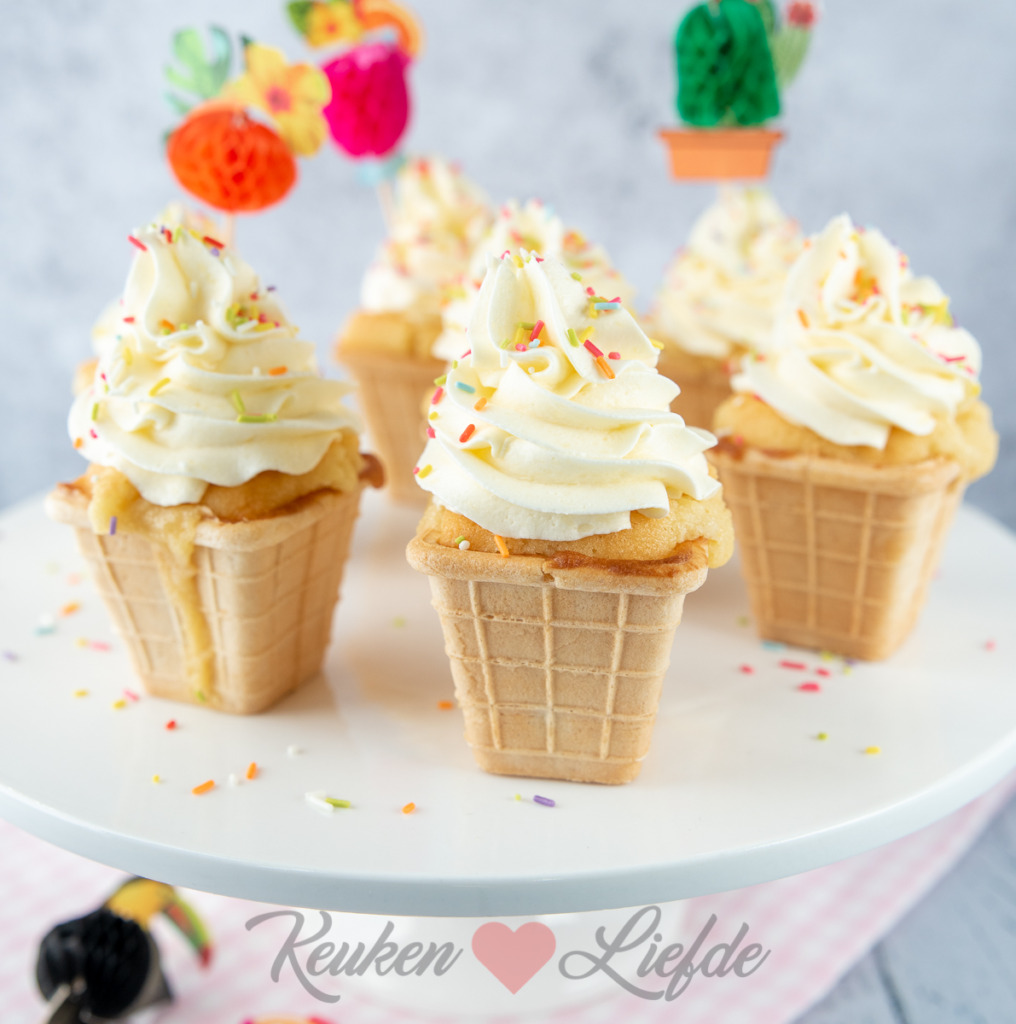 IJsjes cupcakes (uit het 'Kinderbakboek')