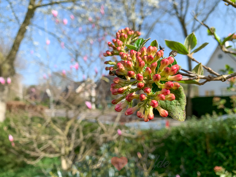 Een kijkje in de keuken week 14-2021