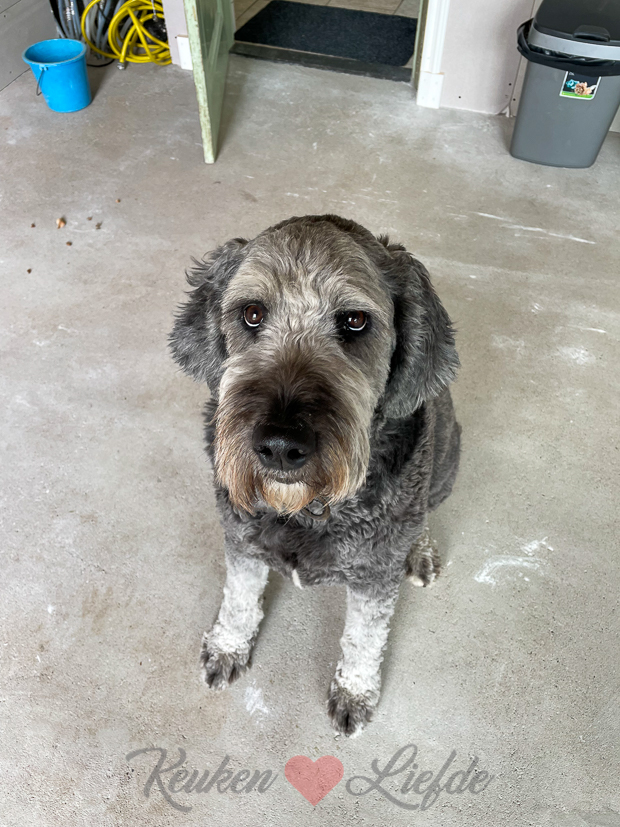 Een kijkje in de keuken week 20-2021