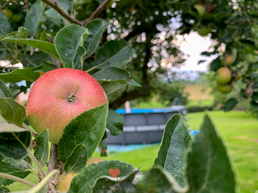 Een kijkje in de keuken week 29-2022