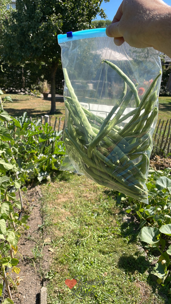 Een kijkje in de keuken week 33-2022