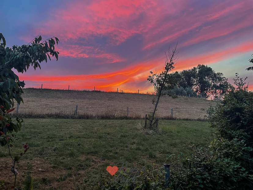 Een kijkje in de keuken week 33-2022