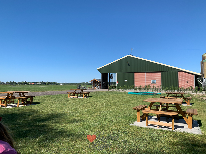 Een kijkje in de keuken week 33-2022