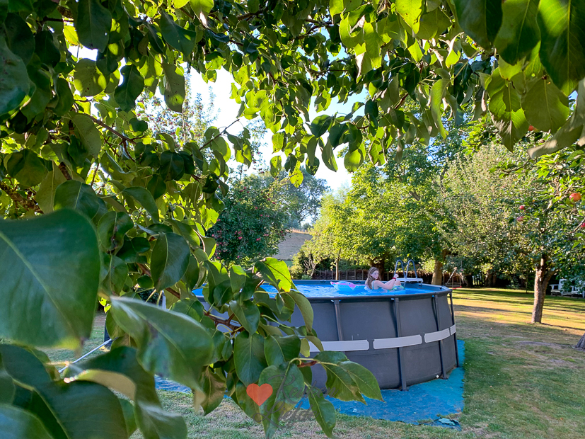 Een kijkje in de keuken week 33-2022