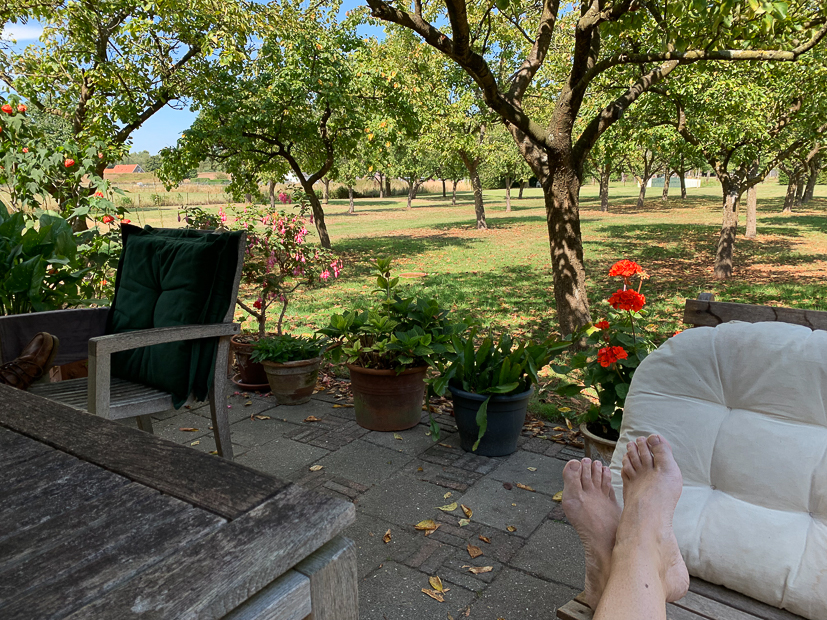 Een kijkje in de keuken week 35-2022