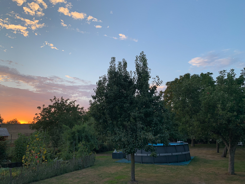 Een kijkje in de keuken week 35-2022