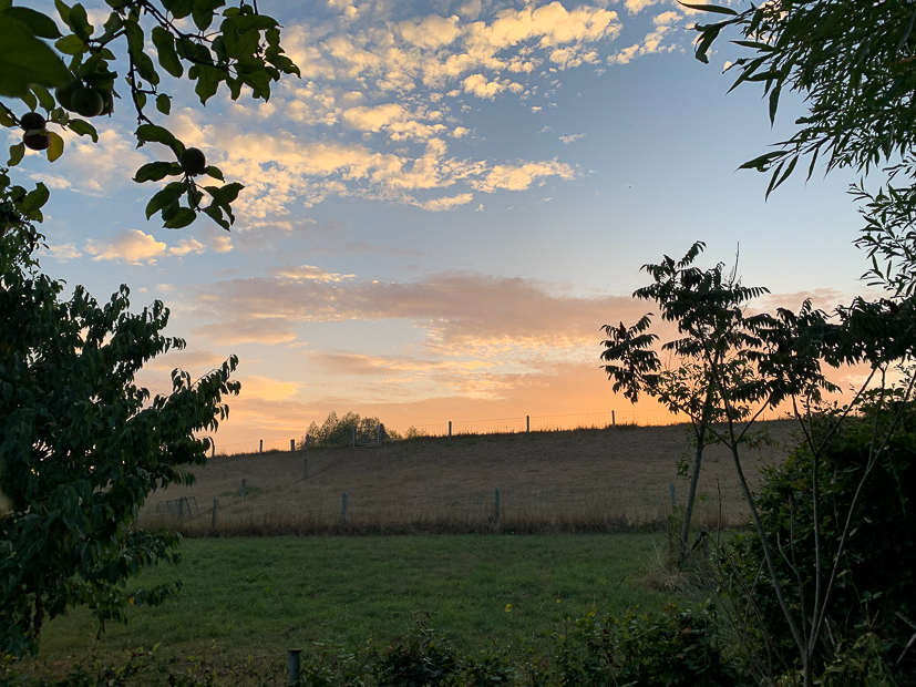 Een kijkje in de keuken week 35-2022