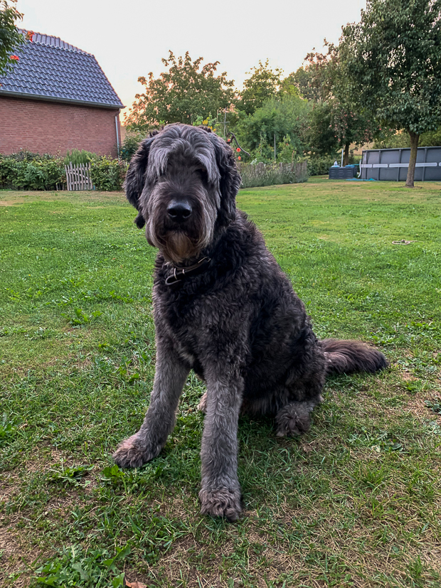 Een kijkje in de keuken week 35-2022