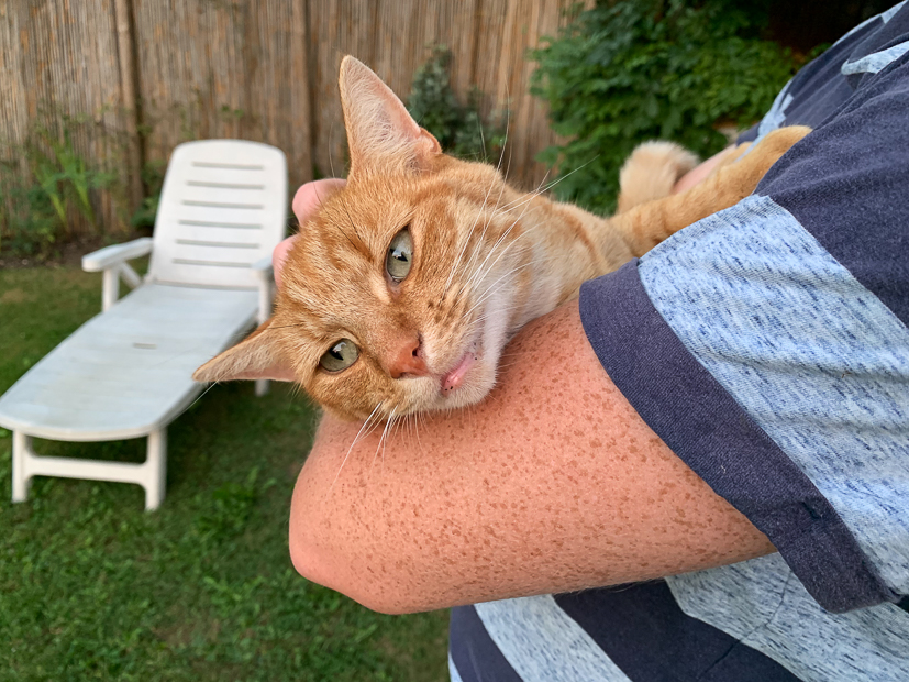 Een kijkje in de keuken week 35-2022