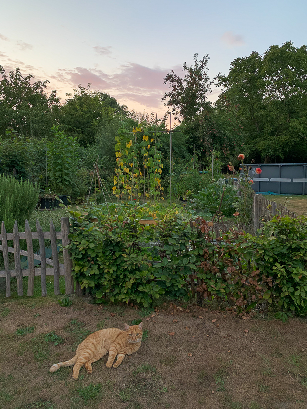 Een kijkje in de keuken week 35-2022