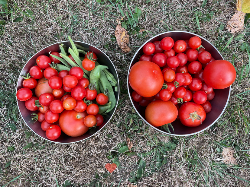 Een kijkje in de keuken week 36-2022