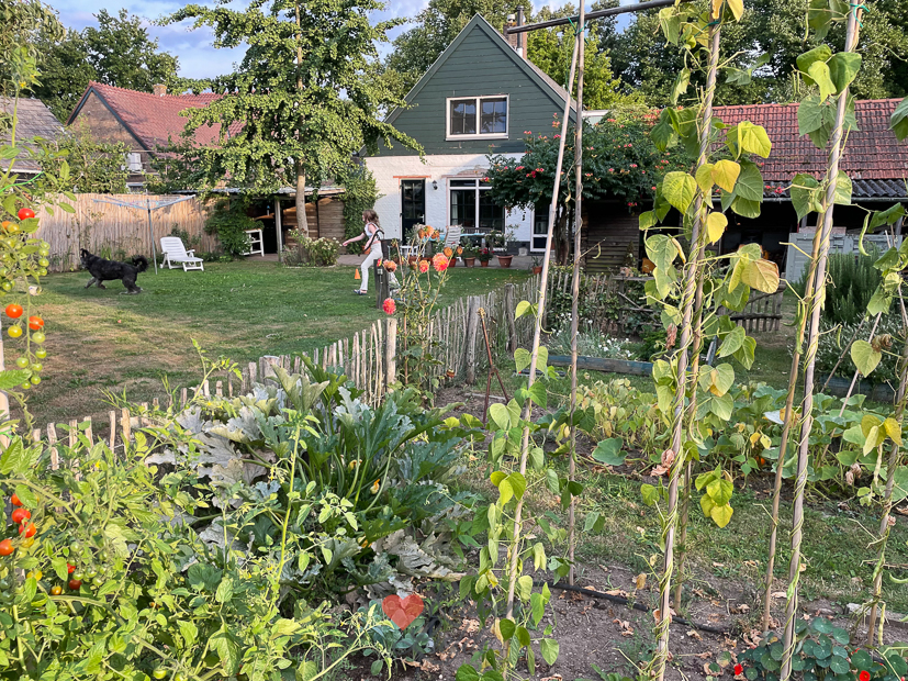 Een kijkje in de keuken week 36-2022