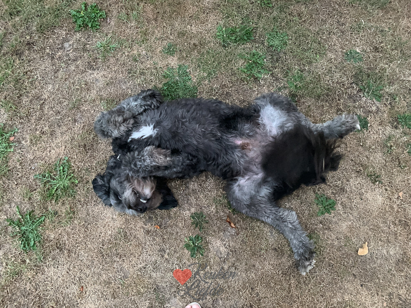 Een kijkje in de keuken week 36-2022