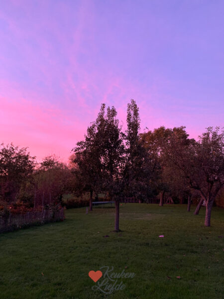 Een kijkje in de keuken week 46-2022