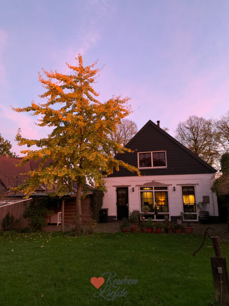 Een kijkje in de keuken week 46-2022