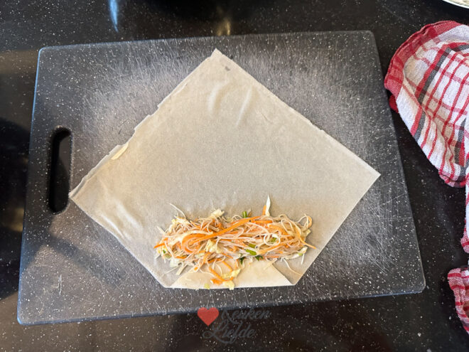 Vietnamese loempia’s (vega)