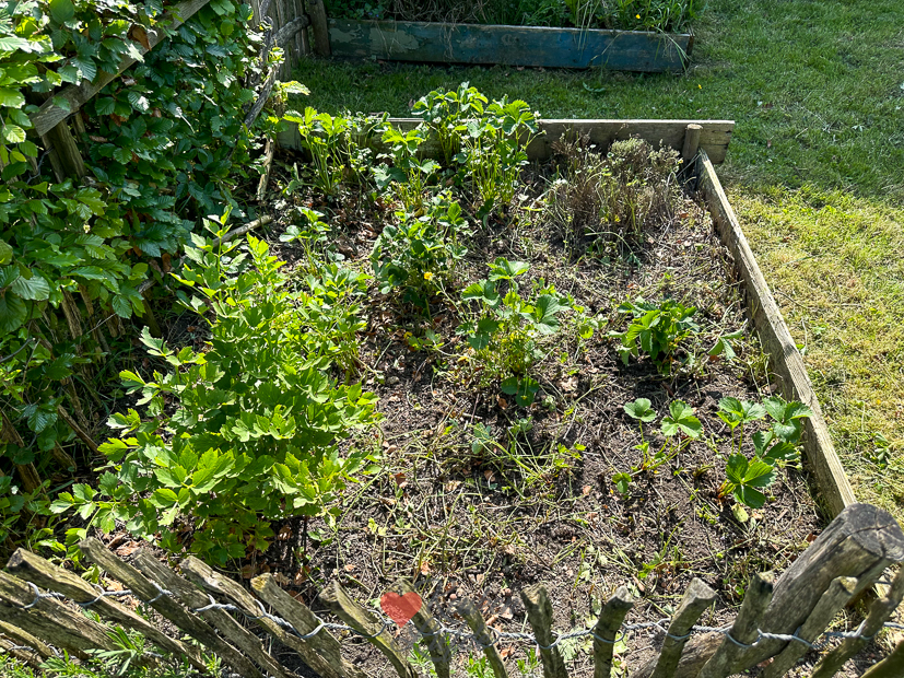 Een kijkje in de keuken week 20 2024