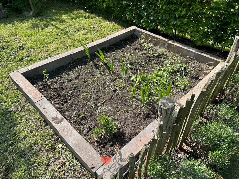 Een kijkje in de keuken week 20 2024