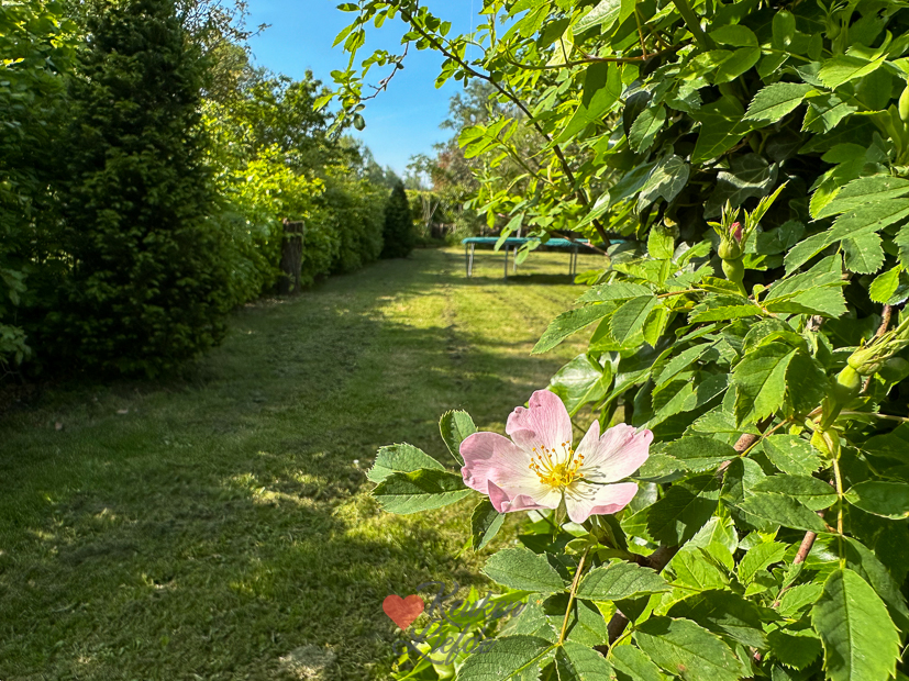 Een kijkje in de keuken week 20 2024