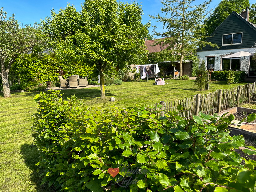 Een kijkje in de keuken week 20 2024