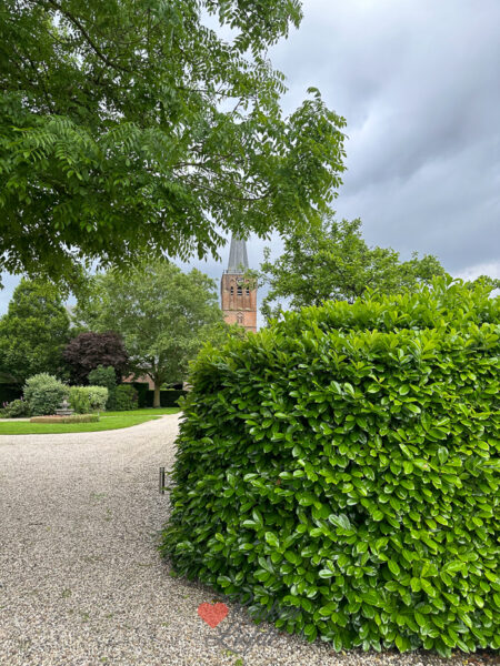 Een kijkje in de keuken week 22 2024