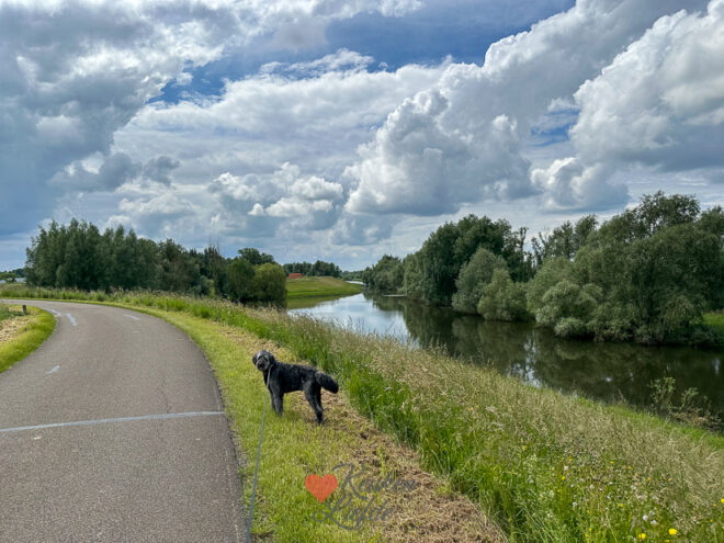 Een kijkje in de keuken week 23 2024