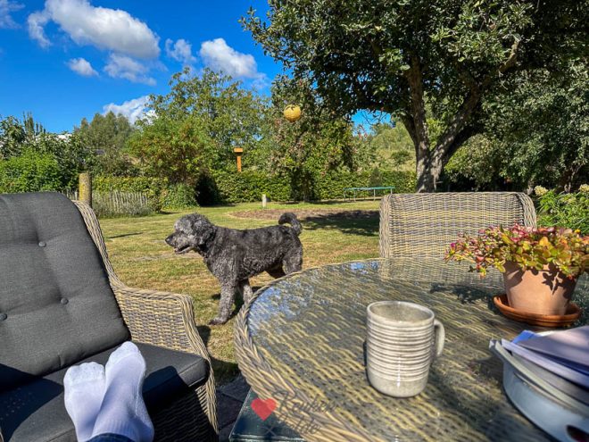 Zondagochtend koffie in de tuin