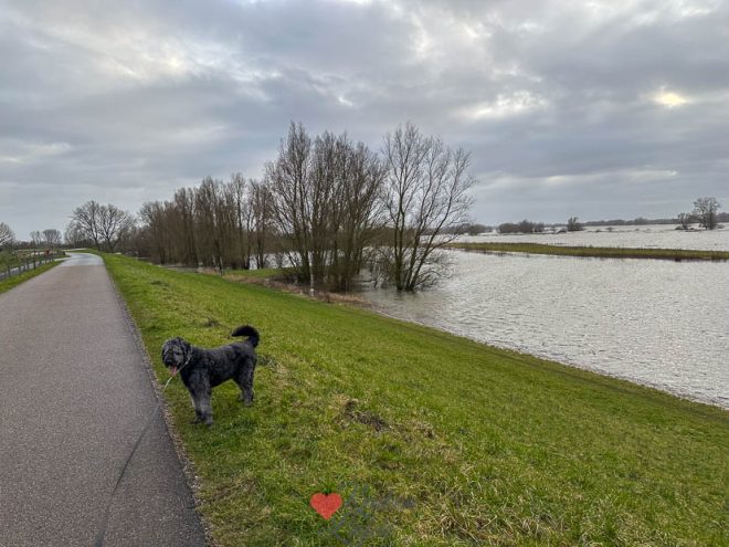Een kijkje in de keuken week 8 2026