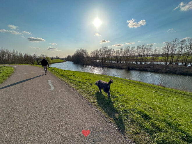 Een kijkje in de keuken week 11 2026