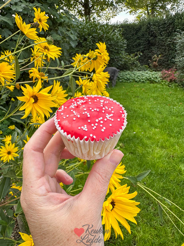Paddenstoel cupcake
