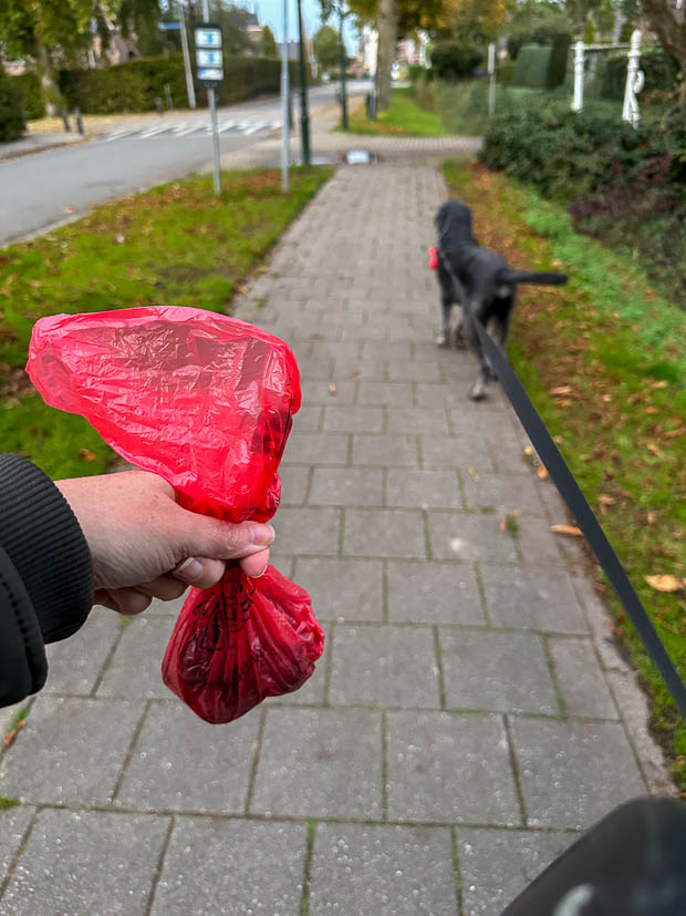 Wandelen met poepzakje