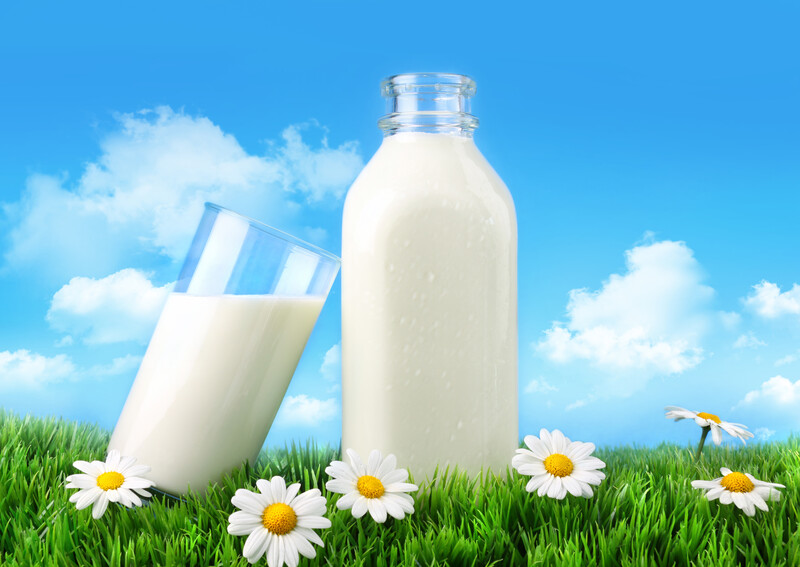 Is melk gezond? 